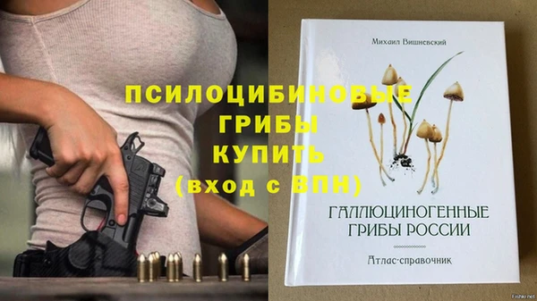 прущая мука Армянск