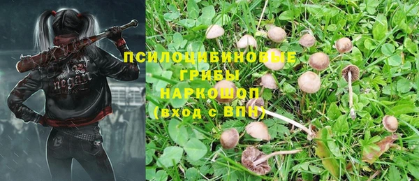 прущая мука Армянск