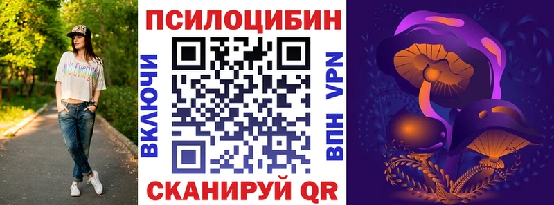 Псилоцибиновые грибы Psilocybine cubensis  где найти   Лесной 