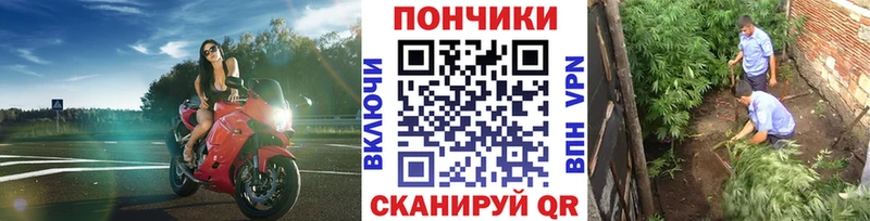 Бошки марихуана тримм цены наркотик Лесной